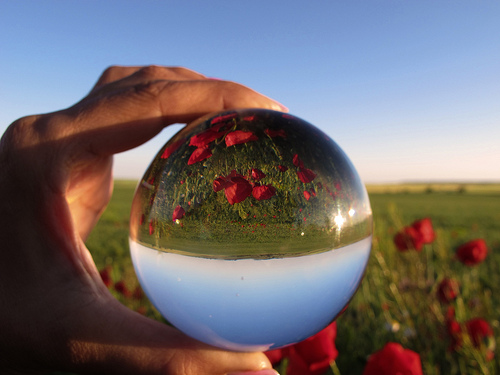 Sfera di cristallo. Profezie autoavveranti?