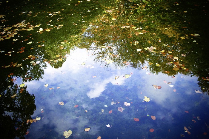 Mindfulness. Riflessi su un lago