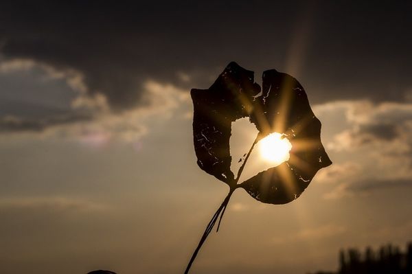 I doni dell'imperfezione - di Brené Brown