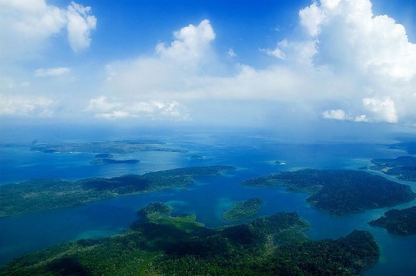 Compiti per le vacanze: vai a passeggiare nel bosco